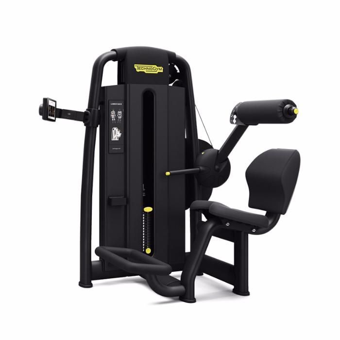 Фитнес уред Technogym Lower Back