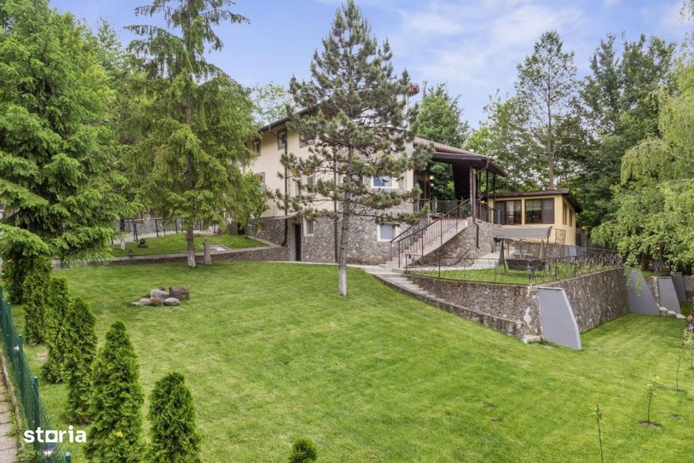 Refugiu de Vis in Cornu – Priveliste Panoramica si Apusuri Memorabil