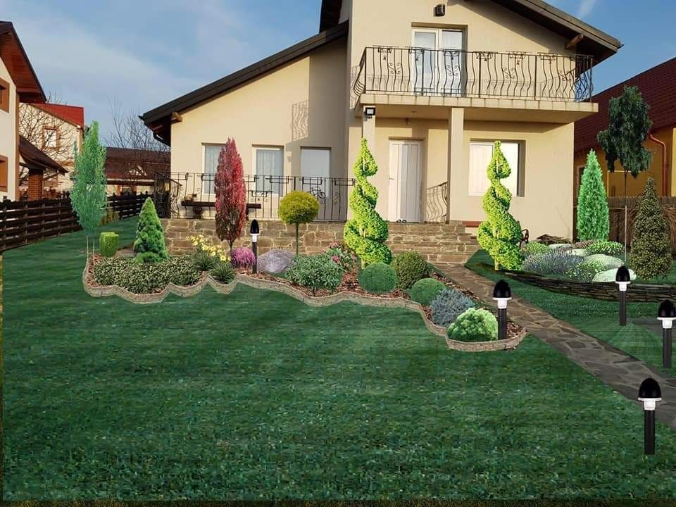 Plante ornamentale diferite specii și dimensiuni