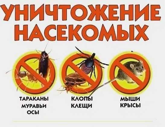 Дезинфекция Уничтожение Клопов. Тараканов
