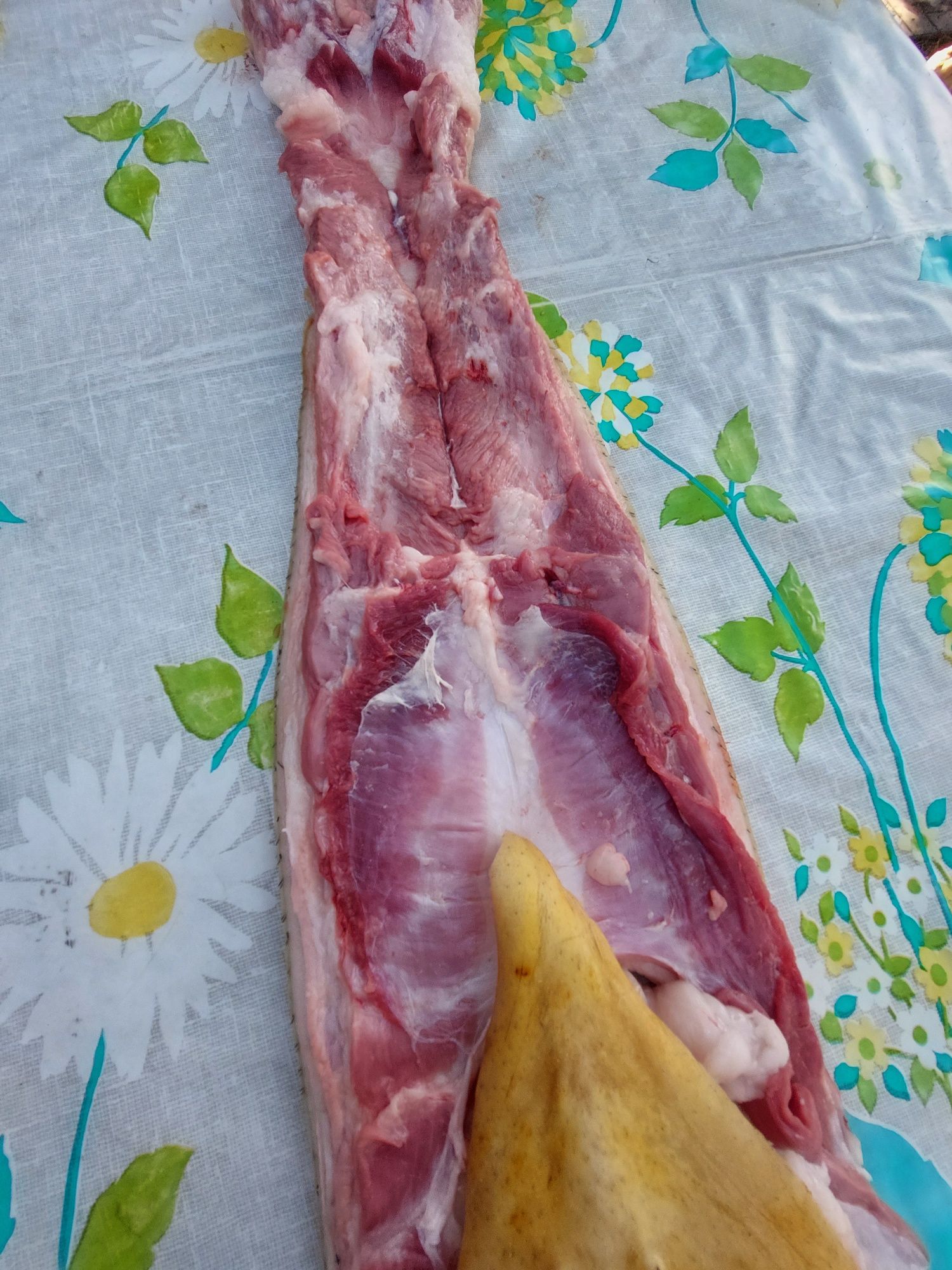 Свинина, мясо домашнее вьетнамских поросят..Выращенное на траве