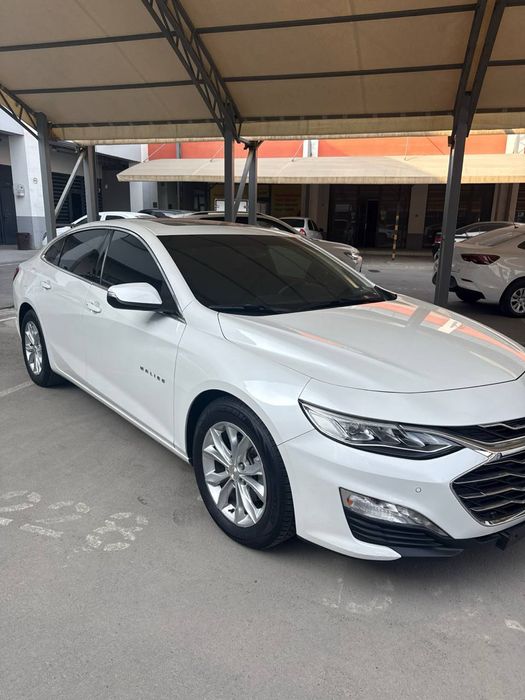 Malibu 2 primer 2020