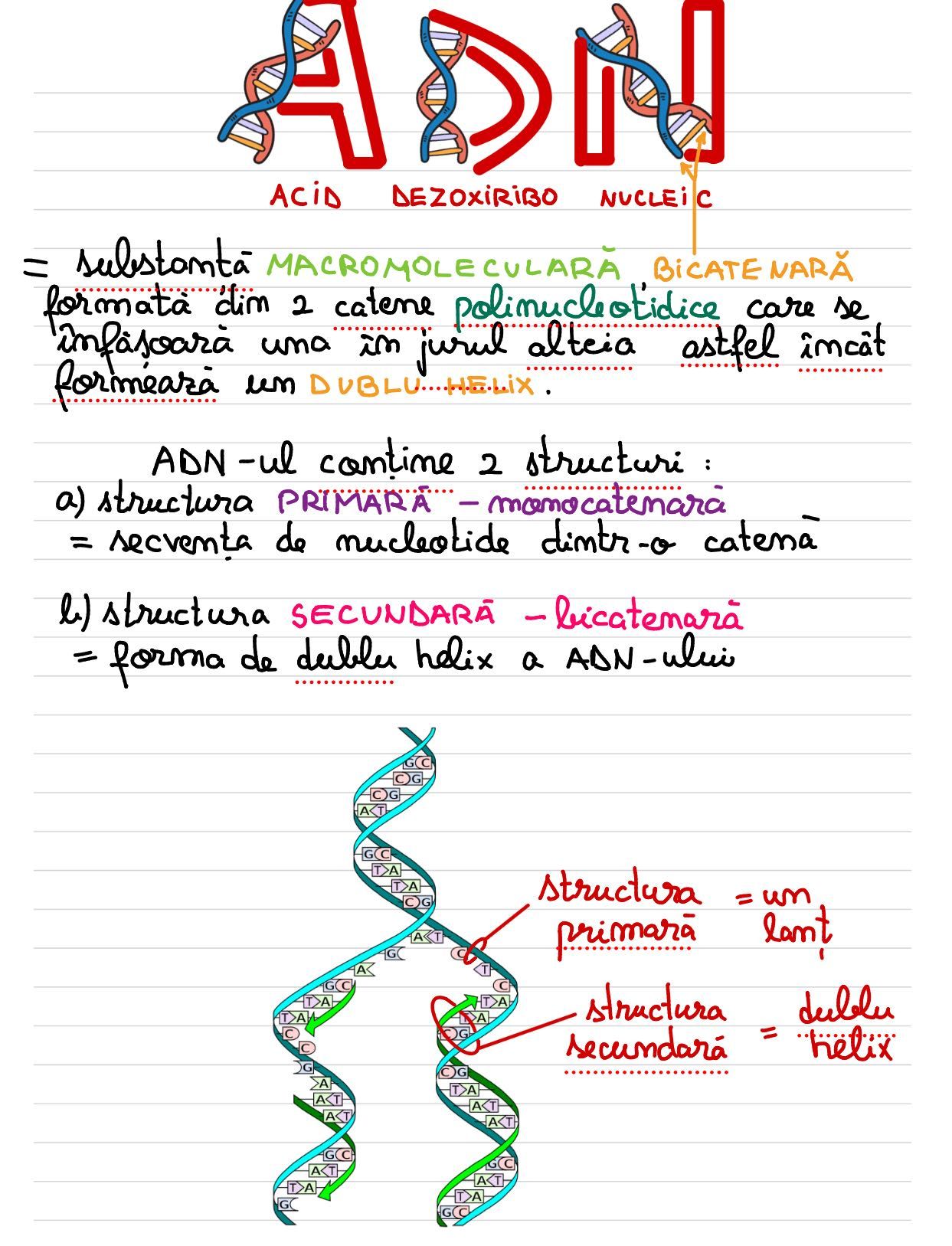 Meditatii biologie Admitere si Bac