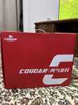 COUGAR - брендовые ролики , размер 38-41