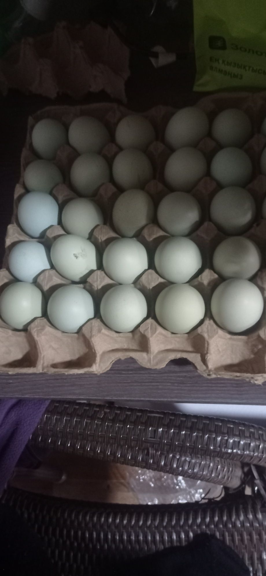 Продам инкубационные яйца амерукана