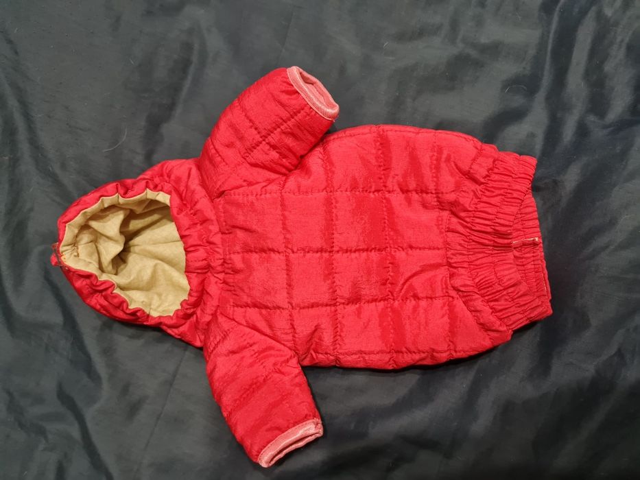 Одежда для животных.