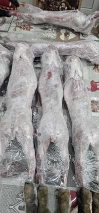 Продам мясо домашних кроликов