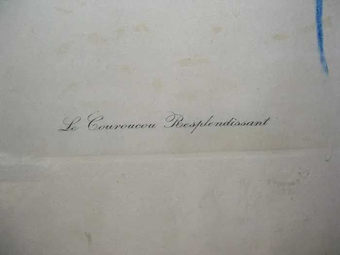 Tablouri litografii color, sec 20, colectie, cadou, vintage