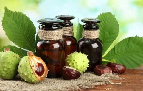 Тинктура от кестен 200мл