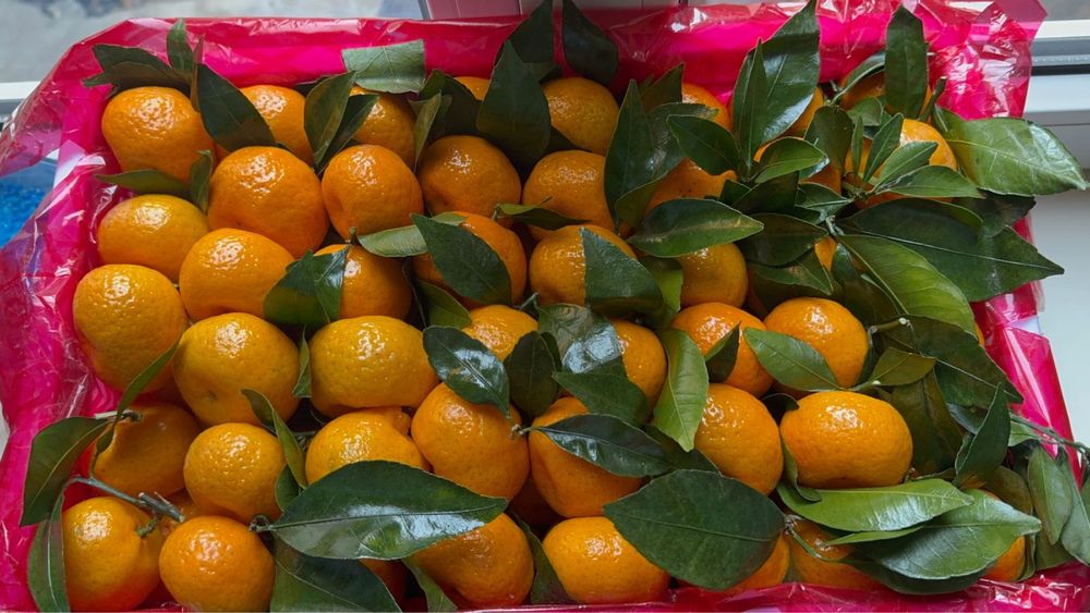 Мандарины бейби   листовка оптом с доставкой по городу