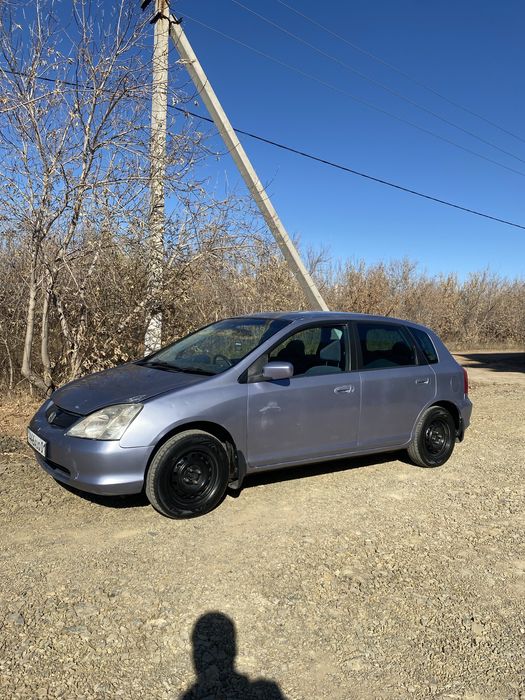 Хонда цивик живая