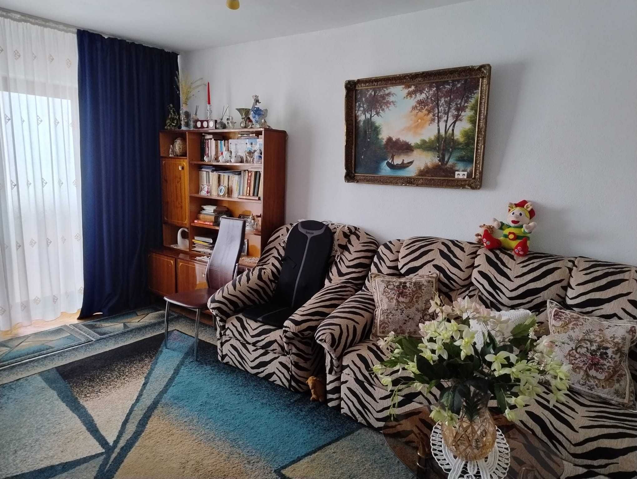 Apartament central Piata Noua