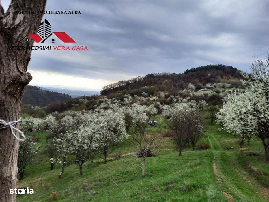 Teren intravilan 13698 mt  de vanzare Inuri Jud Alba