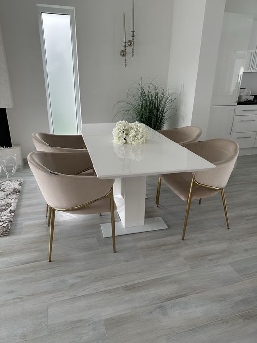 6 scaune Divani and Sofa