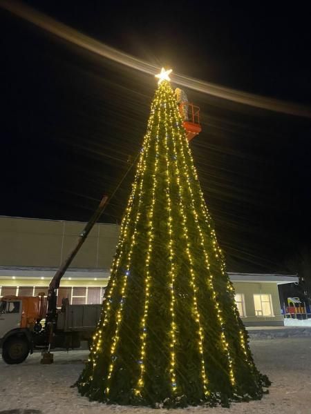 Большие новогодние ёлки,