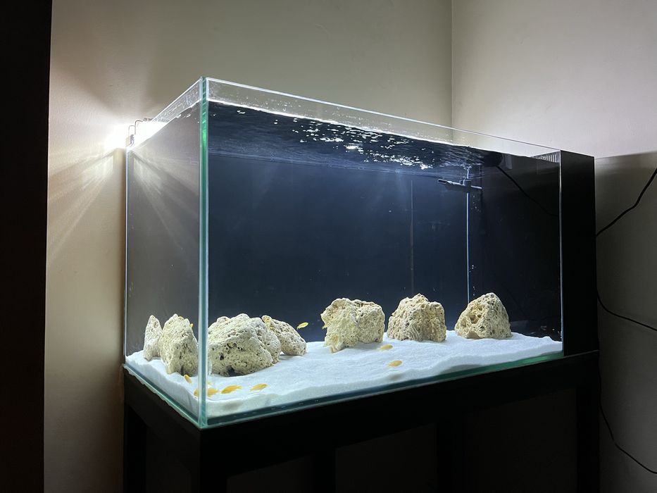 аквариум  сотилади