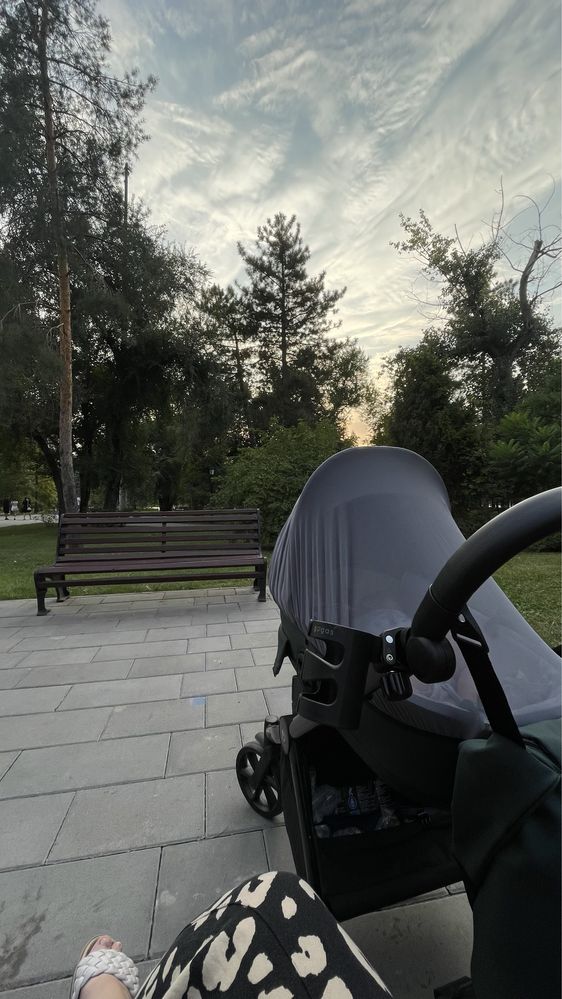 Коляска Tutis Mio Plus Thermo 2в1
