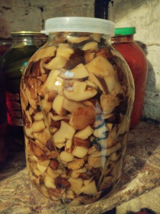 Соленые валуи продам