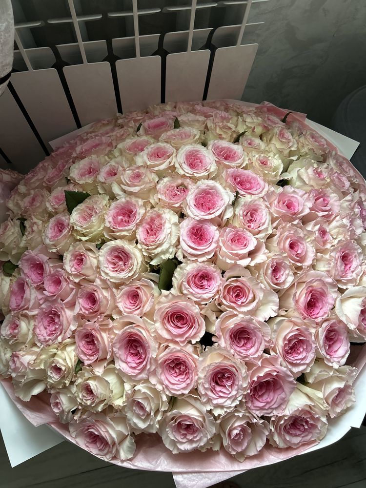 Свежие розы,розового оттенка 101