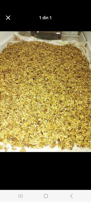 Miez de nuca de foarte bună calitate!