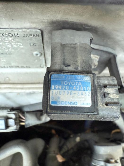 Ипсум ипсун ipsum picnic пикник