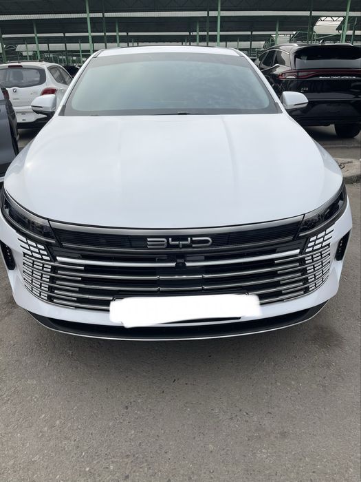 Byd chazor 2023 3 positsiya oq rang
