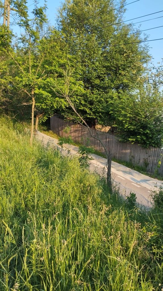 Teren de vânzare intravilan  Salcia judetul Prahova