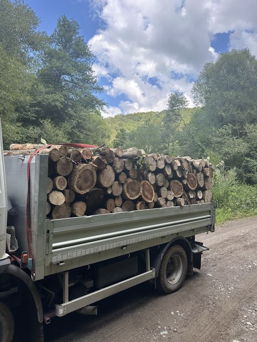 Lemne de foc esenta tare