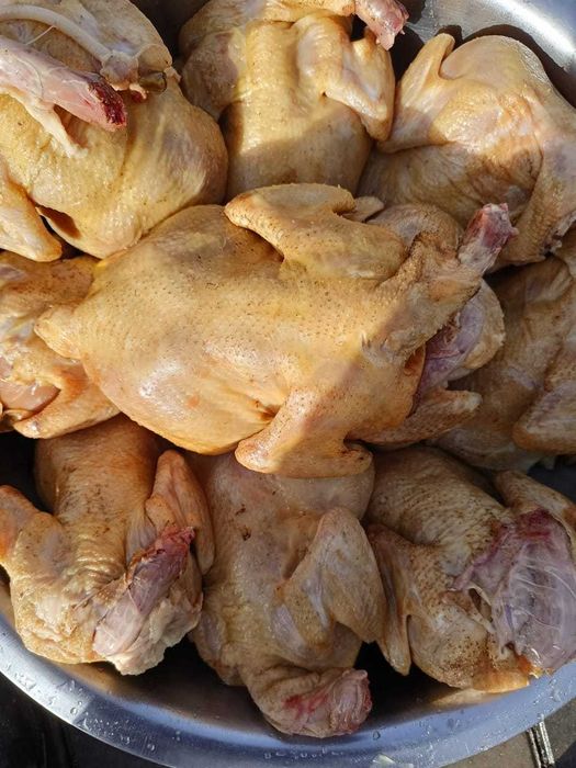 Мясо домашней курицы