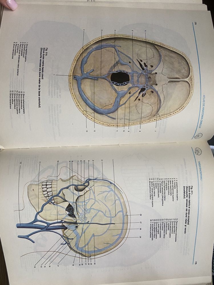 Atlas de neuroanatomie Viorel Ranga