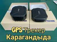 Трекер GPS в Караганде трекер для отслеживания лошадей Трекер GSM