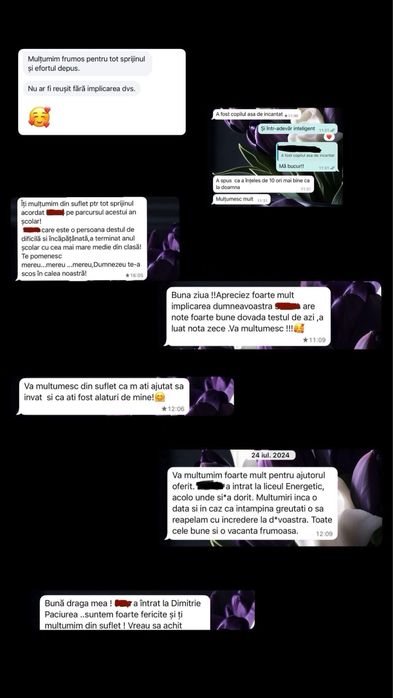 Meditații la limba română pentru GIMNAZIU și ADMITERE ȘCOLI DE POLIȚIE