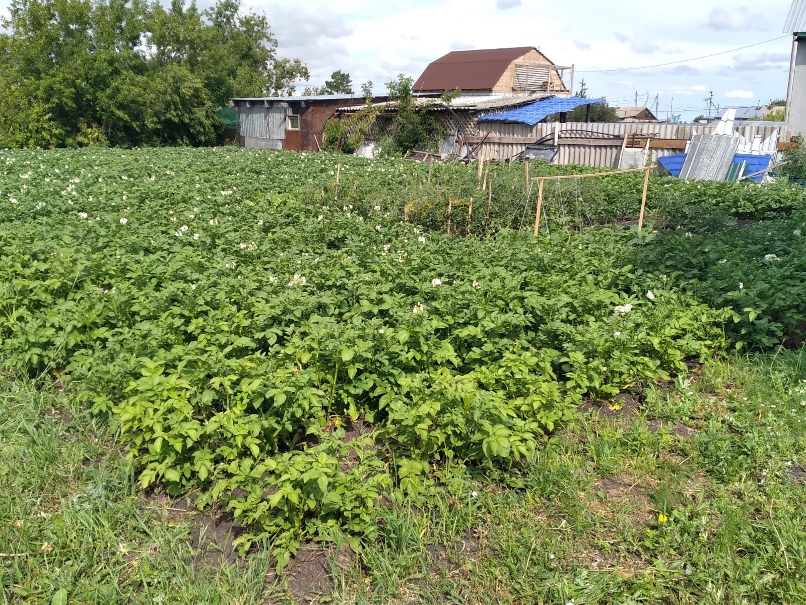 Продам дом шпальный  .