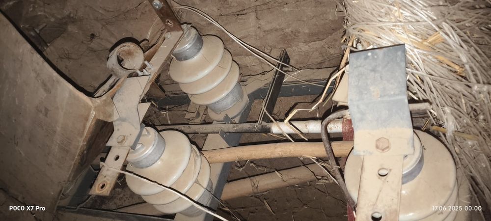 Rubilnik visoki  ajratib qushuvchi