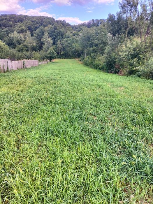 Teren de vanzare intravilan