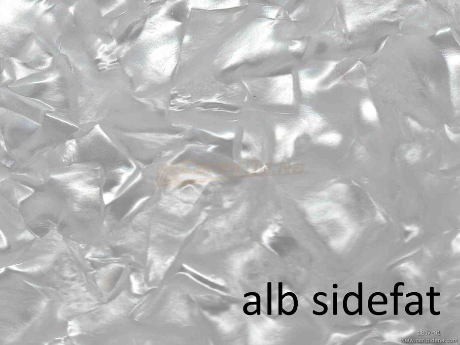 Vand coala celuloid negru  acordeon -  Italia