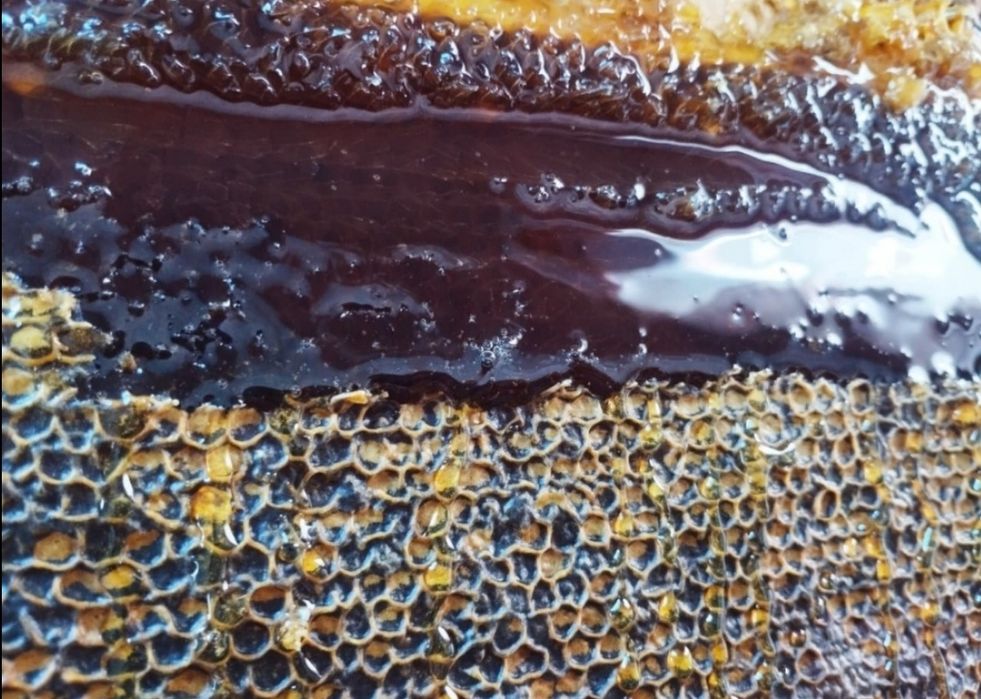 Мёд лесной жидкий