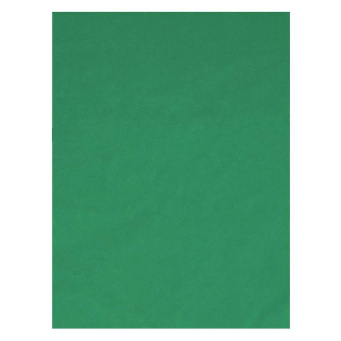 Influence Fundal Background fotografii verde XL 150x200cm 100% bumbac