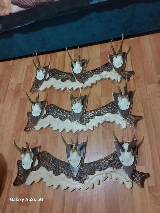 Vând cuiere diferite modele