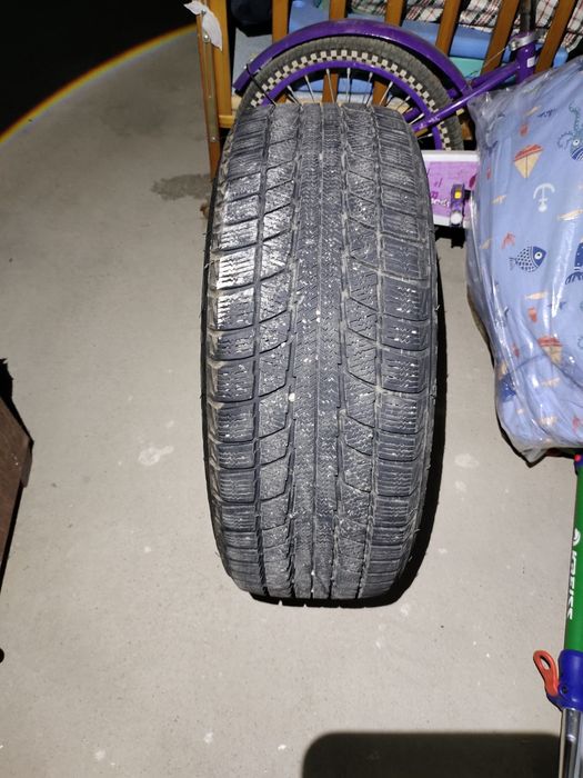 Зимние шины Triangle