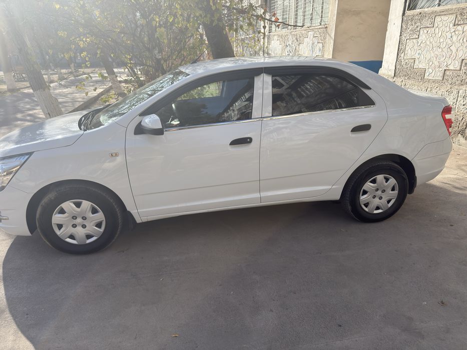 Cobalt 2020 2 poz. Kraska tozza