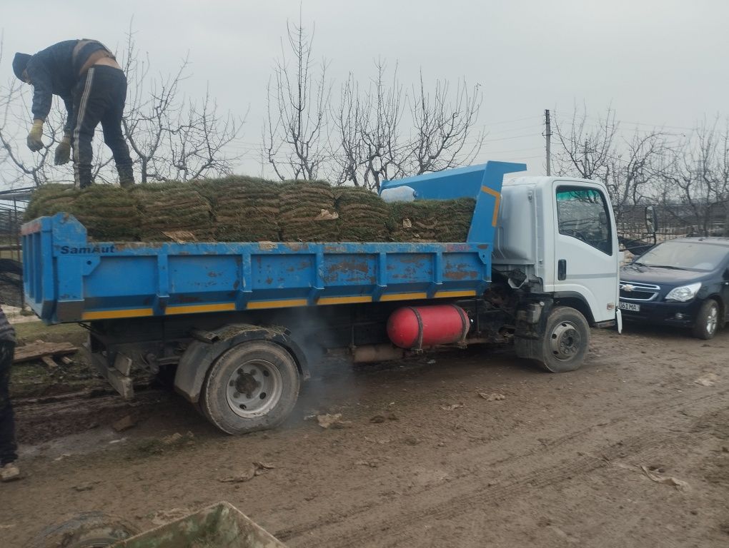 Isuzi samasval yuk tashish xizmati
