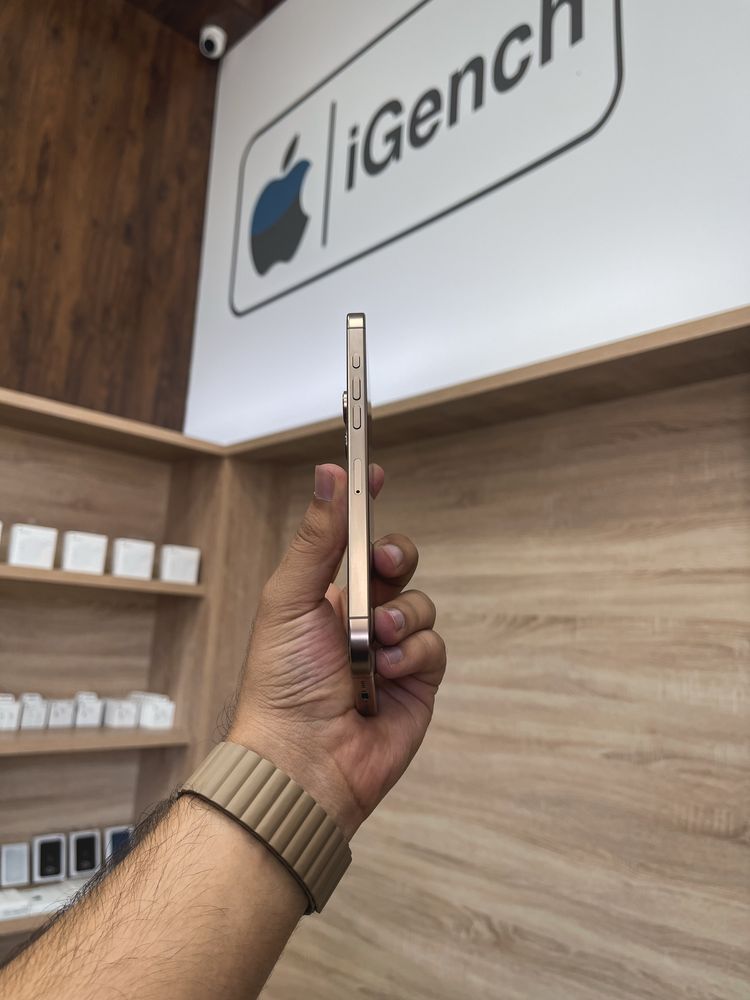 iPhone 16 Pro Max 256GB 100%