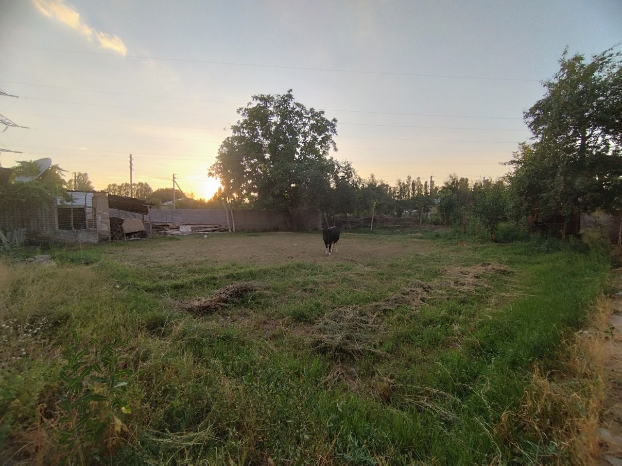 Продам дом 18 суток Янгибазар центр.