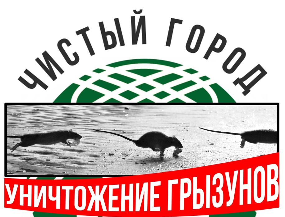 ДЕРАТИЗАЦИЯ ОТ Грызунов по договору