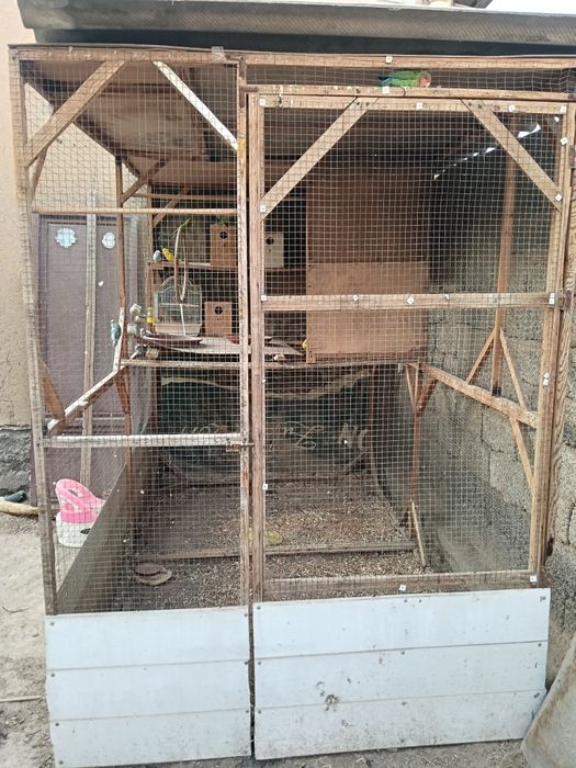 Вальер с попугаями или без попугаев