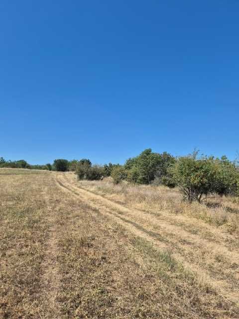 Vand teren extravilan 3 ha Livada Mare, Comuna Grebanu, jud Buzau