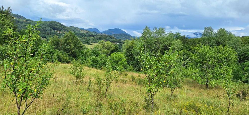 Teren pentru Casa de Vacanță