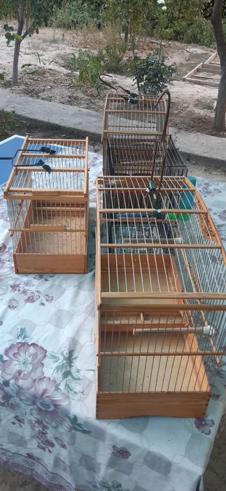 Кафаслар 4 дона зор ахволда