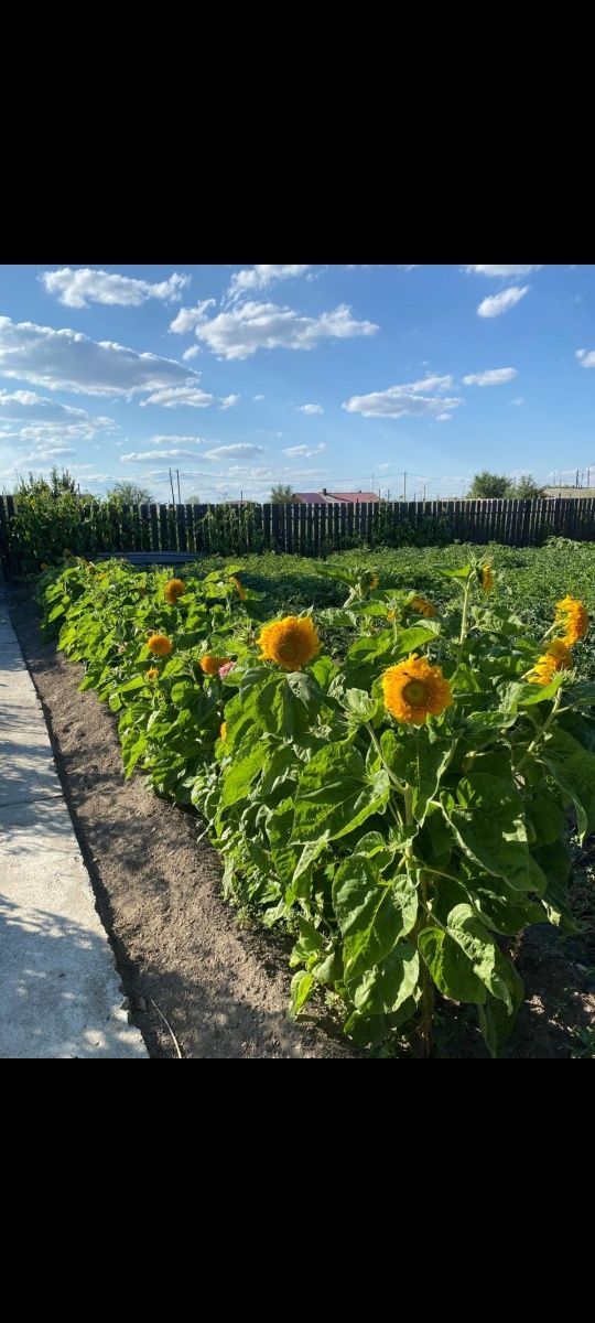 Продам дом.поселок Восход район таймас  улица Заливная 42